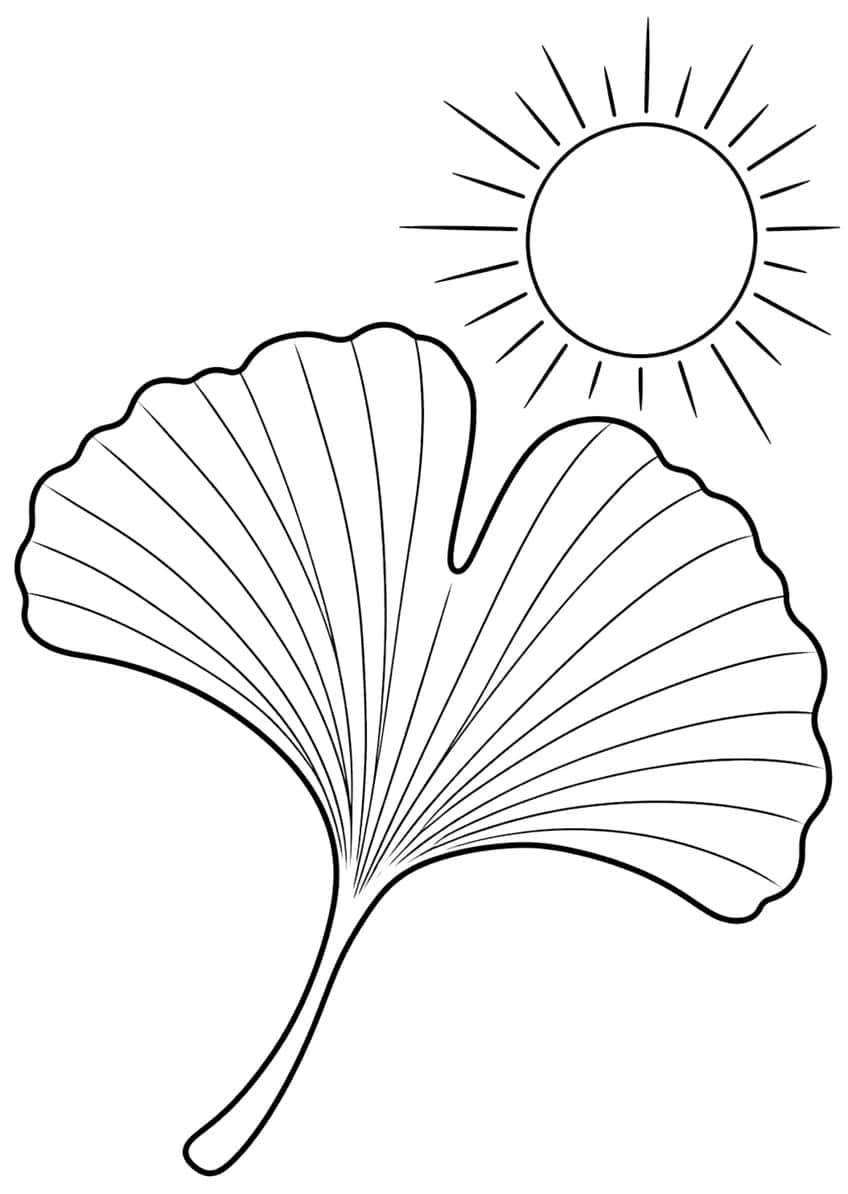 Fan-shaped ginkgo leaf with radiating veins and a long stalk, with a sun with rays above it