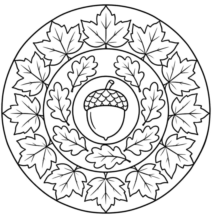 Round mandala with a central acorn, a ring of oak leaves and an outer ring of maple leaves