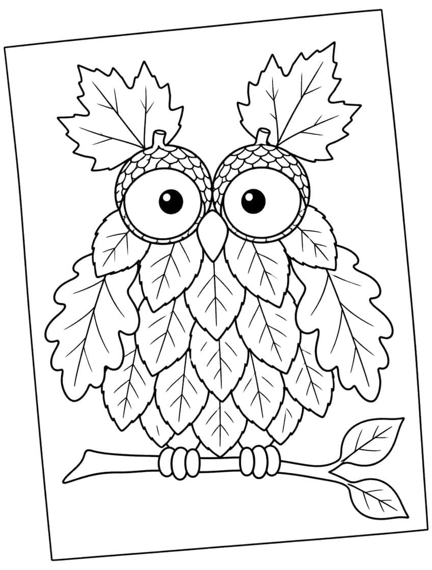 Owl made of leaves with acorn-cap eyes and maple leaf ears, sitting on a branch with two leaves