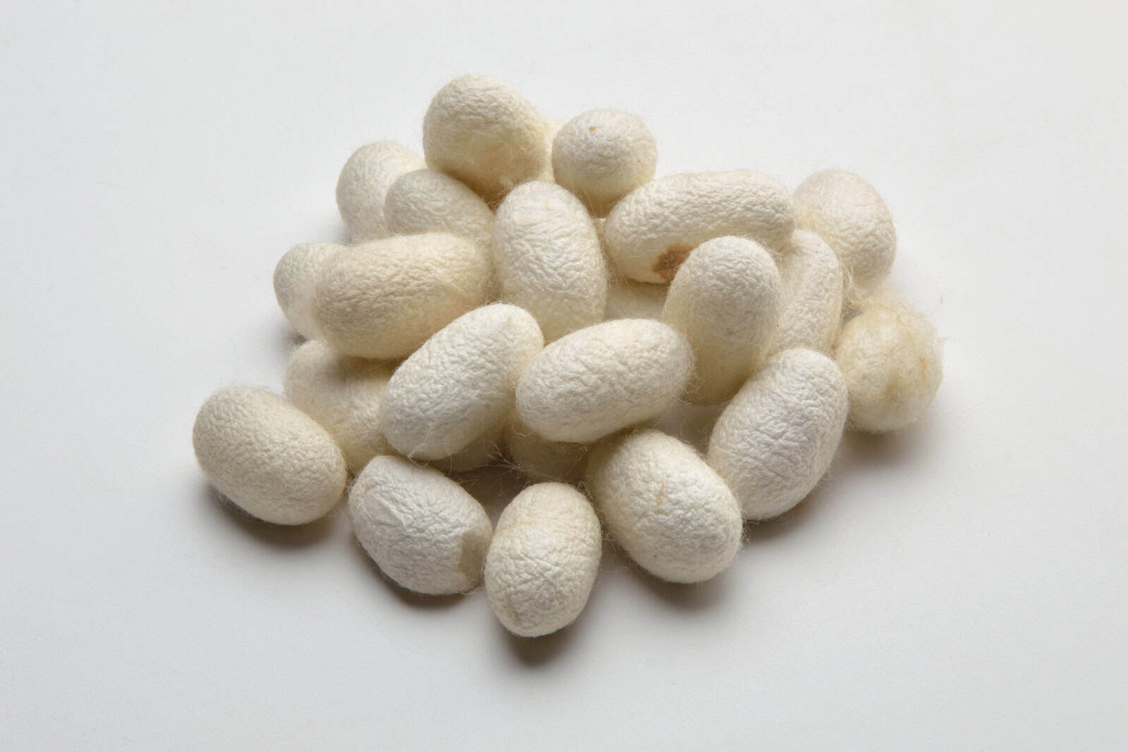 A group of oval, off-white silkworm cocoons rests on a neutral surface.