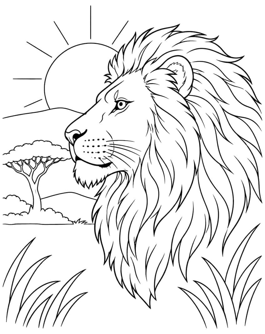 Side-view lion head with a flowing mane, rising sun, hills, a tree and tall grass to color