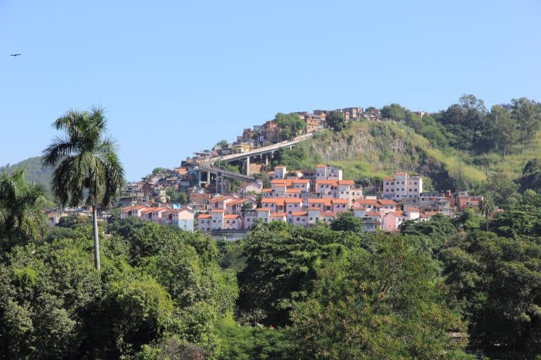 Morro da Mangueira rises beyond trees and buildings in Rio de Janeiro, seen from Quinta da Boa Vista.
