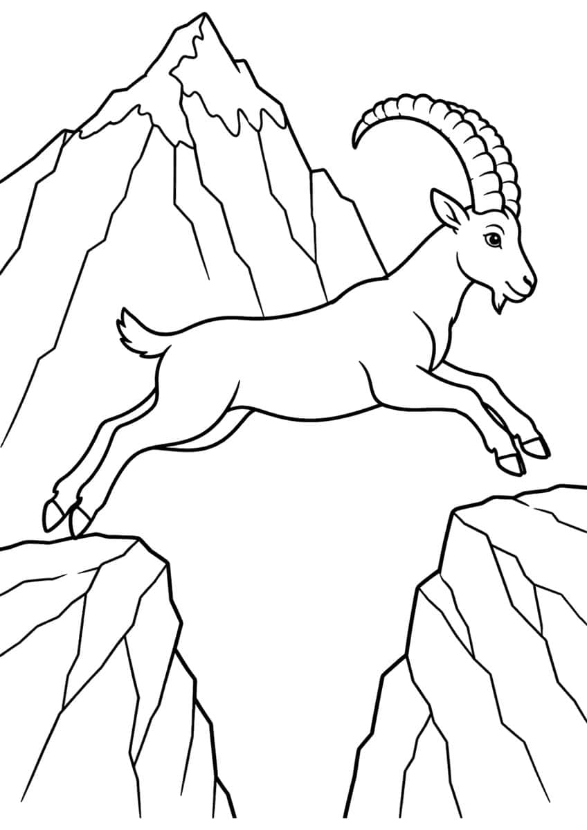 Ibex leaping between two rocky cliffs with a snow-tipped mountain behind