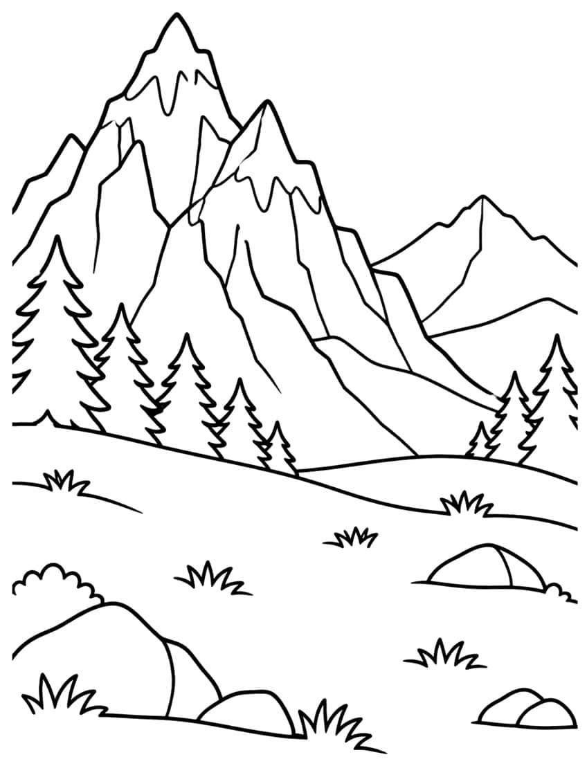 Jagged snowy mountain peaks above spruce trees and a meadow with boulders and grass tufts