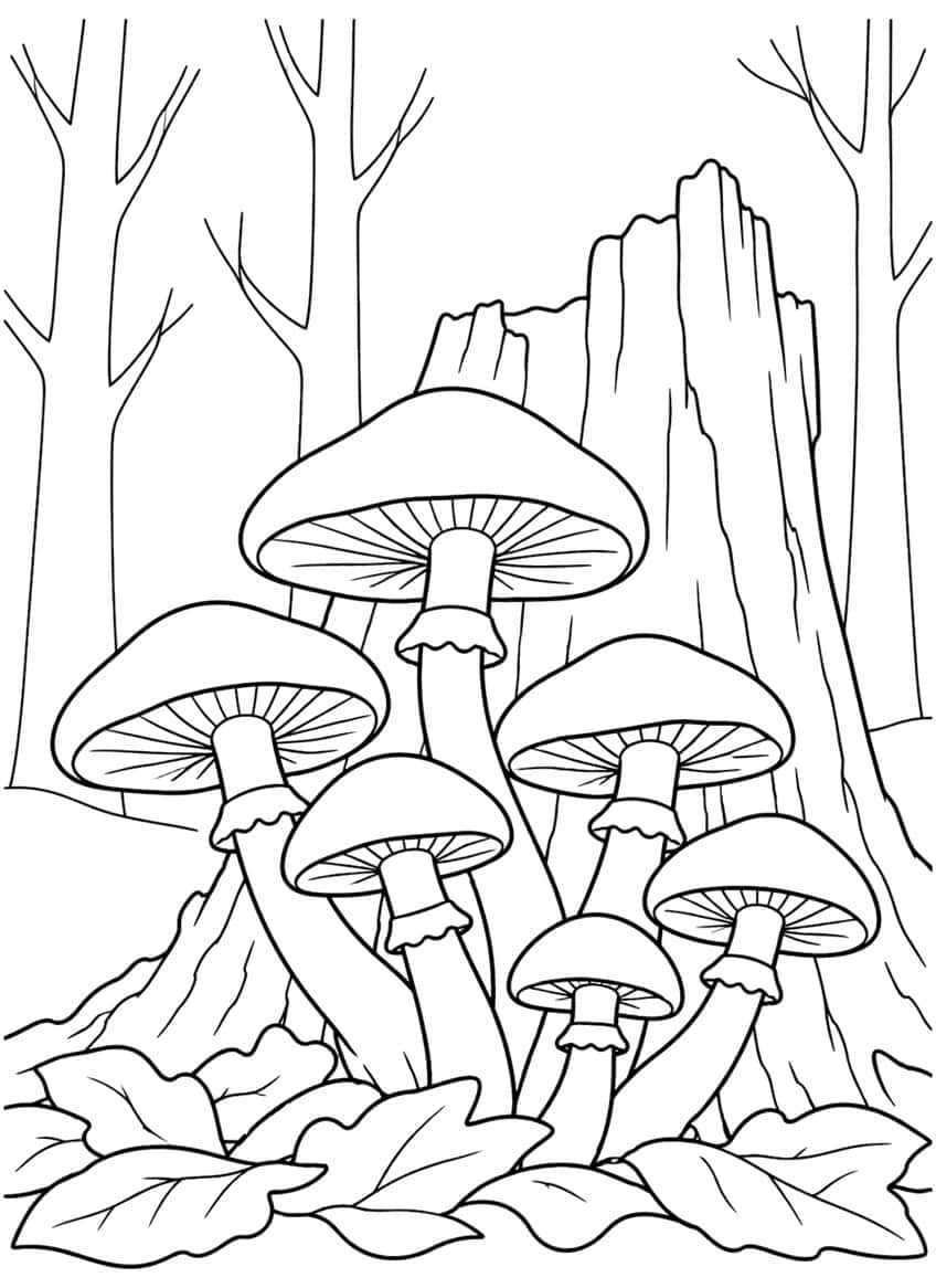 Six honey fungus mushrooms with ringed stems beside a tree stump, bare trees and fallen leaves