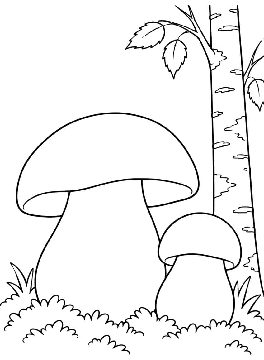 Two porcini mushrooms in moss next to a birch trunk with two leaves and grass tufts