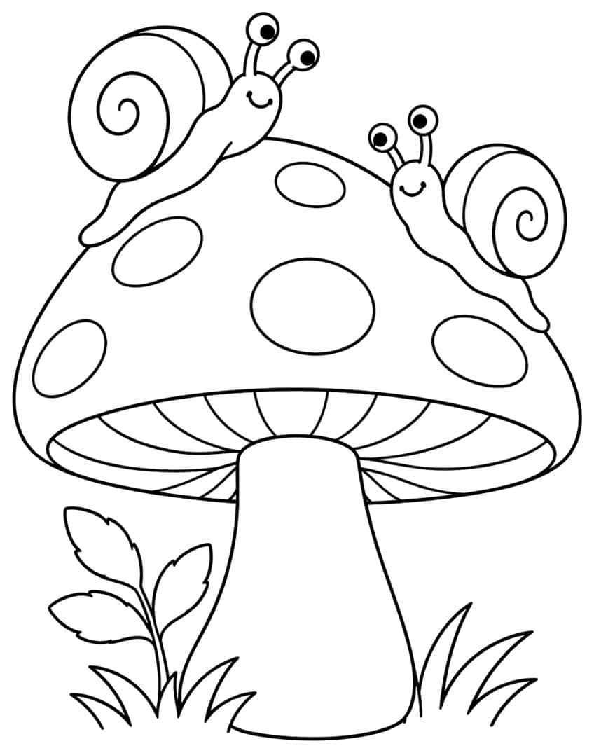 Two smiling snails on a large spotted mushroom with a leaf sprig and grass