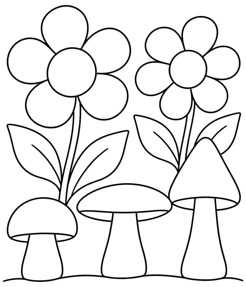 Three smooth mushrooms in a row with two large five-petal flowers and leaves above them