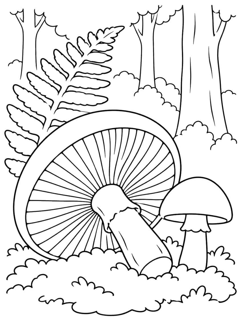 Tilted mushroom with gills, small mushroom, fern and tree trunks in moss