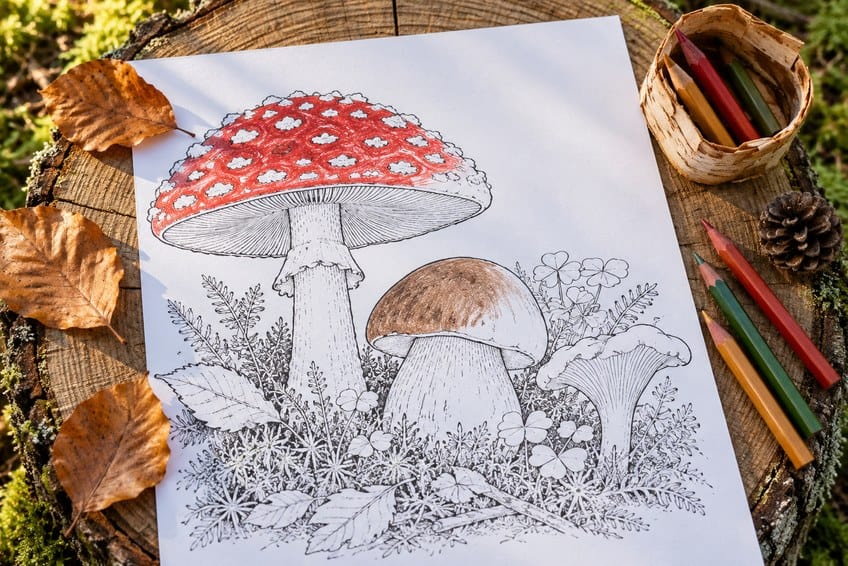 mushroom coloring page partly colored in with pencils