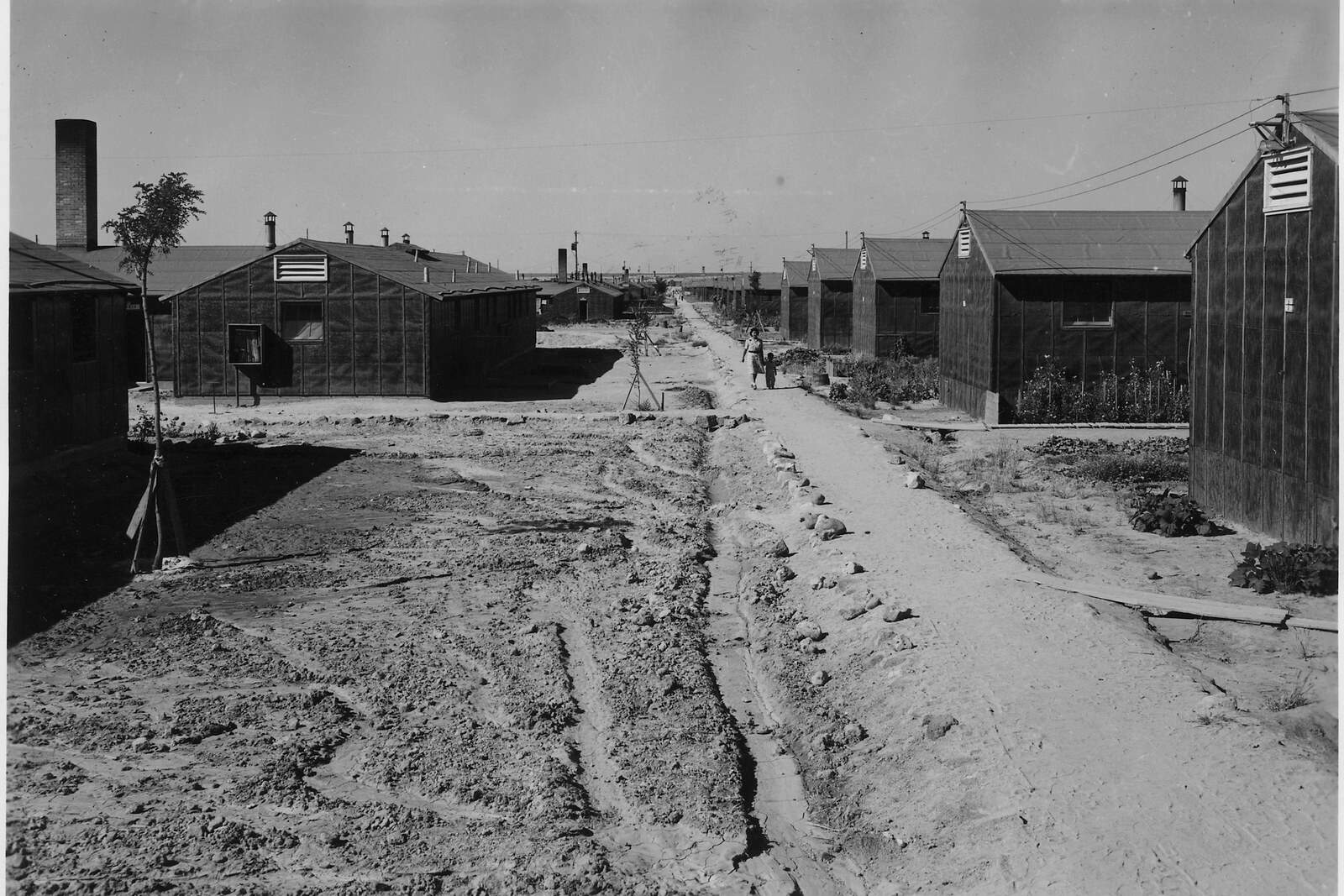 Rows of barracks extending across the Minidoka incarceration camp in Idaho in 1943.