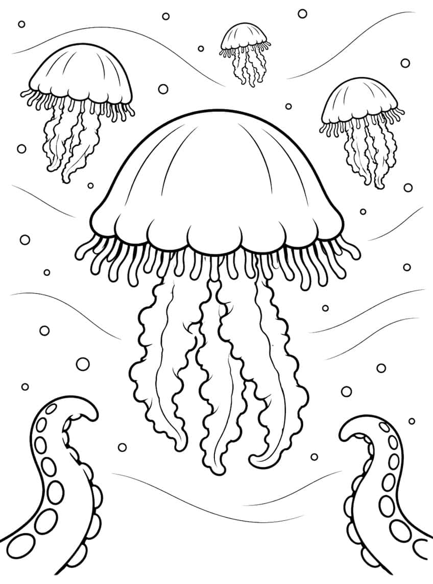 Coloring page of a big jellyfish with three small jellyfish, bubbles and two octopus tentacles