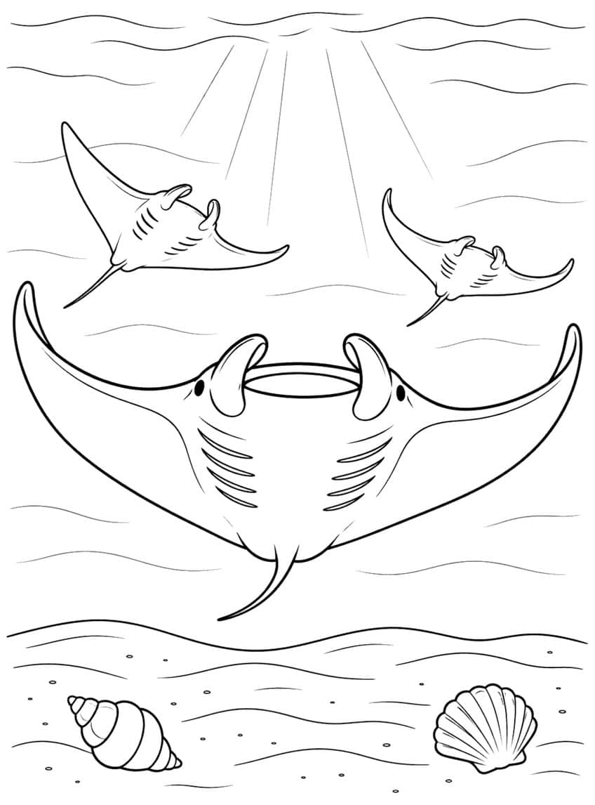 Coloring page of three manta rays swimming under sunbeams above a sandy seafloor with seashells