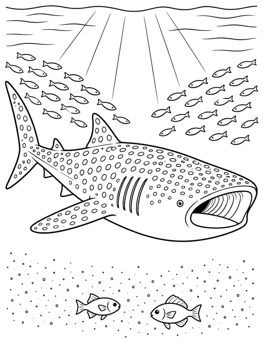 Whale shark coloring page with open mouth, schools of fish, sun rays and a speckled seabed