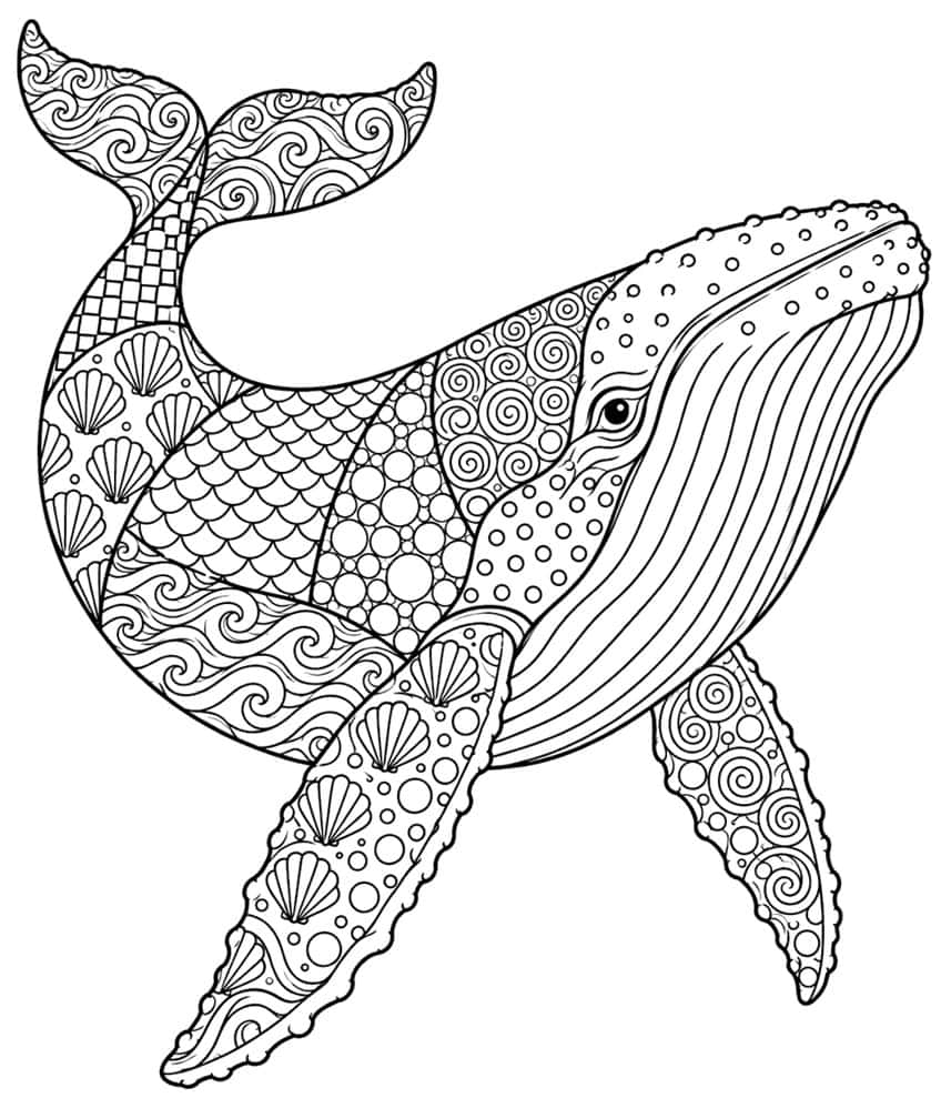Humpback whale coloring page filled with zentangle patterns of waves, shells, scales and spirals
