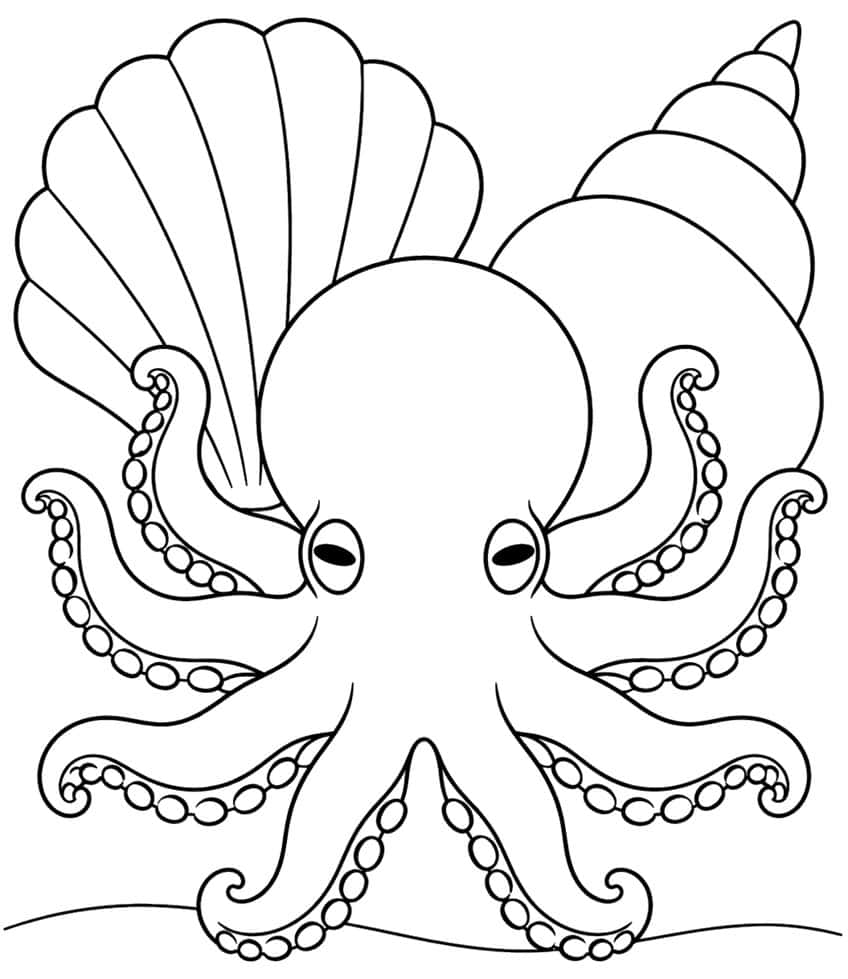Octopus with curled sucker arms in front of a scallop shell and a spiral conch shell