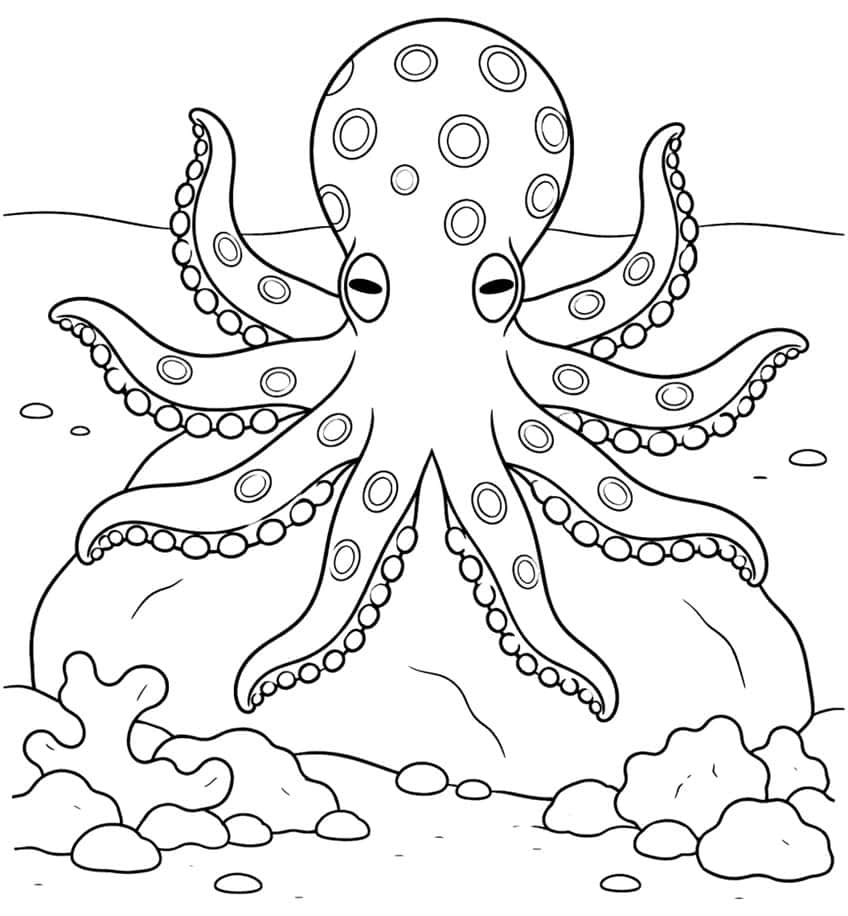 Octopus with ringed spots on head and arms sitting on a boulder, with coral and pebbles below