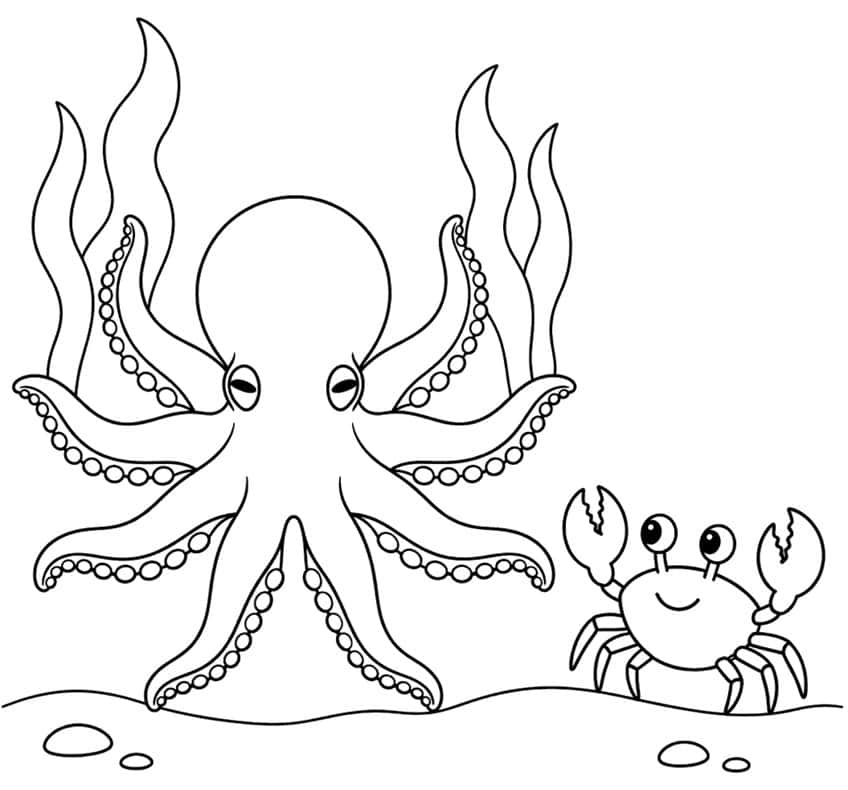 Octopus with eight suckered arms, kelp, pebbles and a smiling crab with raised claws on the seabed