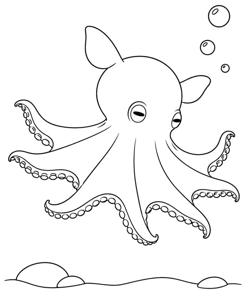 Dumbo octopus with two ear fins, eight sucker-lined arms, three bubbles and rocks on the seabed