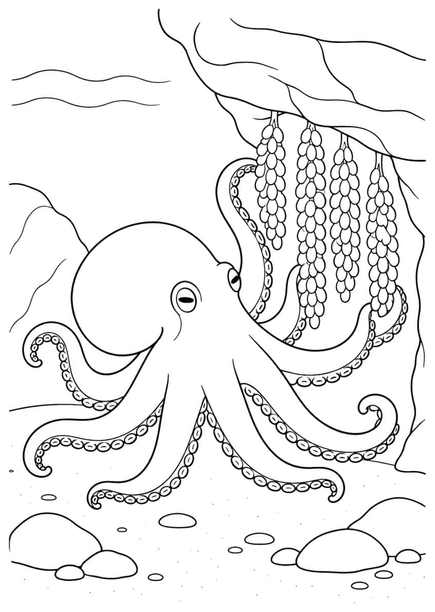 Octopus with sucker-lined arms beneath a rock ledge with four hanging egg strings, pebbles below