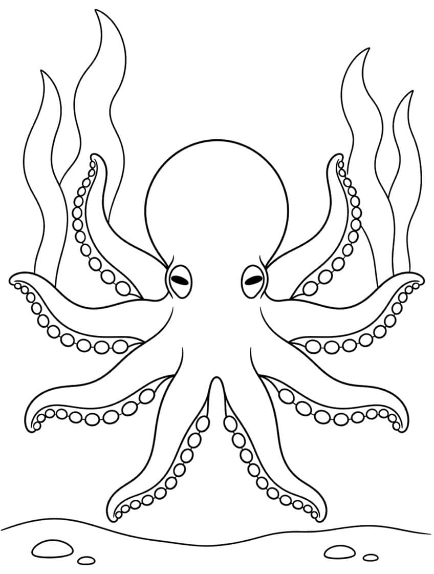Octopus with eight sucker-lined arms, wavy seaweed behind it and a sandy floor with pebbles
