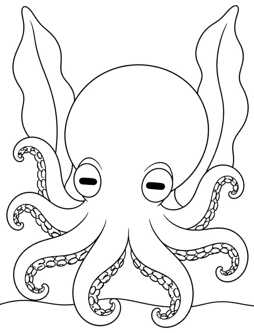Octopus with large round eyes, eight curled arms and two tall kelp leaves