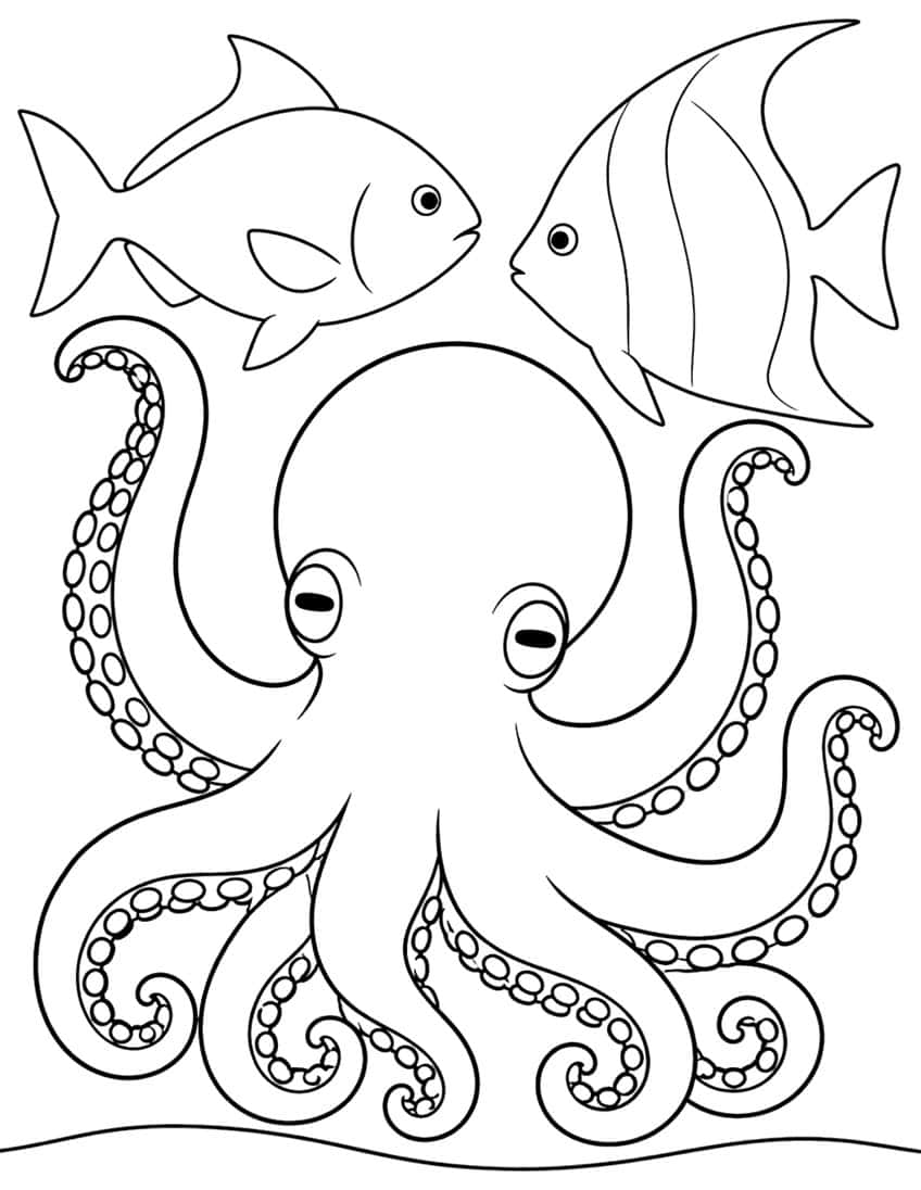 Octopus with curled sucker arms and two fish, one striped angelfish, above a wavy seabed line