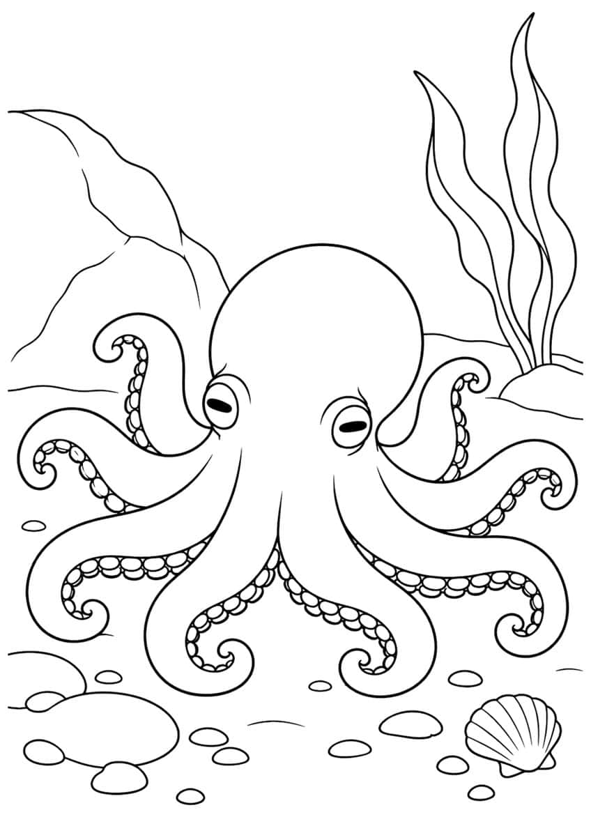Octopus with eight curled arms on the seabed with pebbles, a scallop shell, a rock and kelp