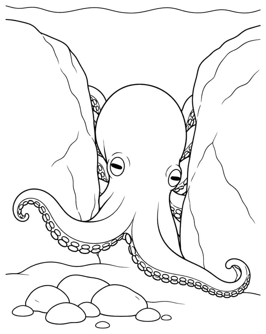 Octopus with sleepy eyes squeezing between two rock walls, curled arms with suckers, pebbles on sand