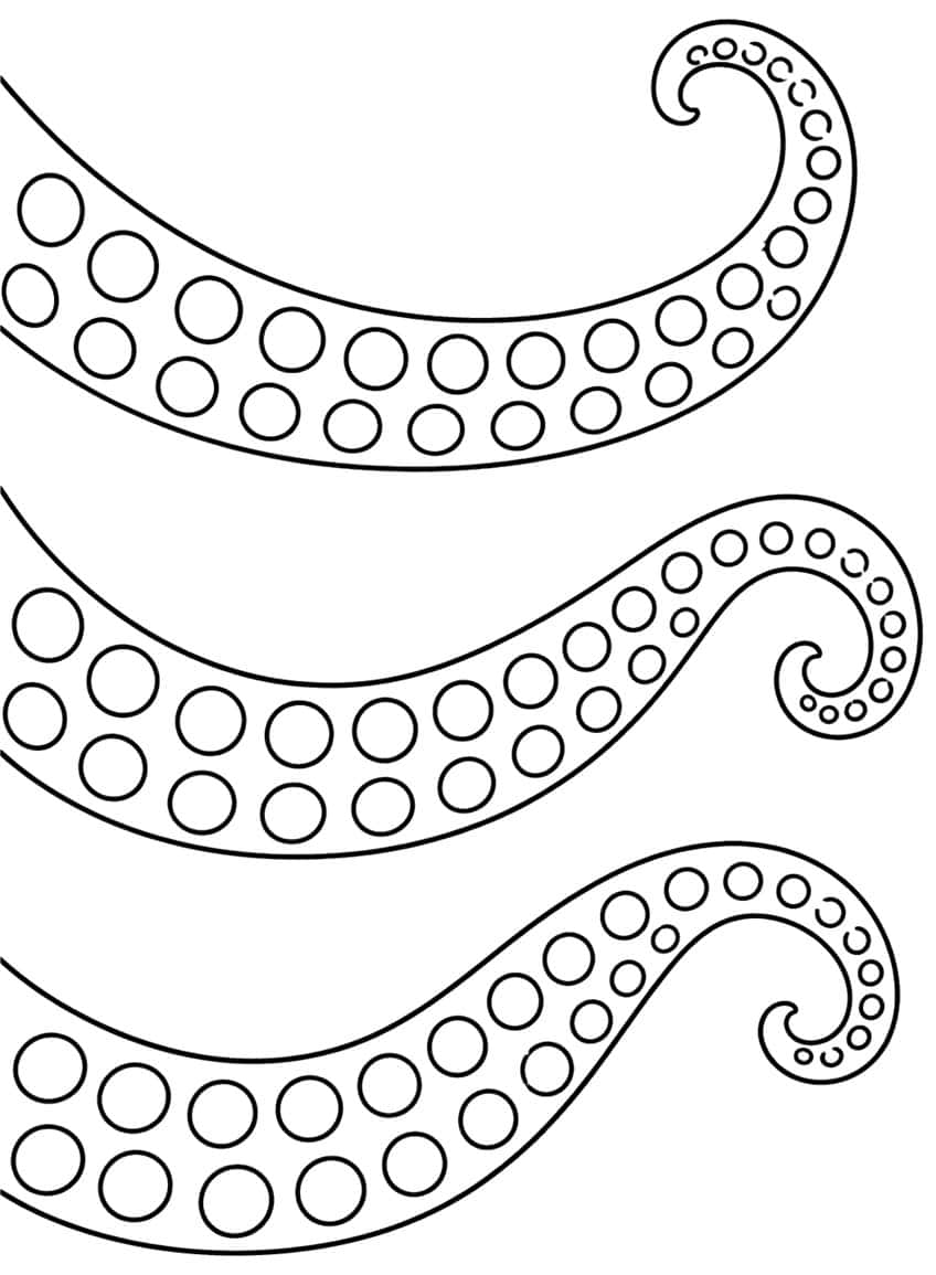 Three curling octopus arms with two rows of round suckers each and spiral tips
