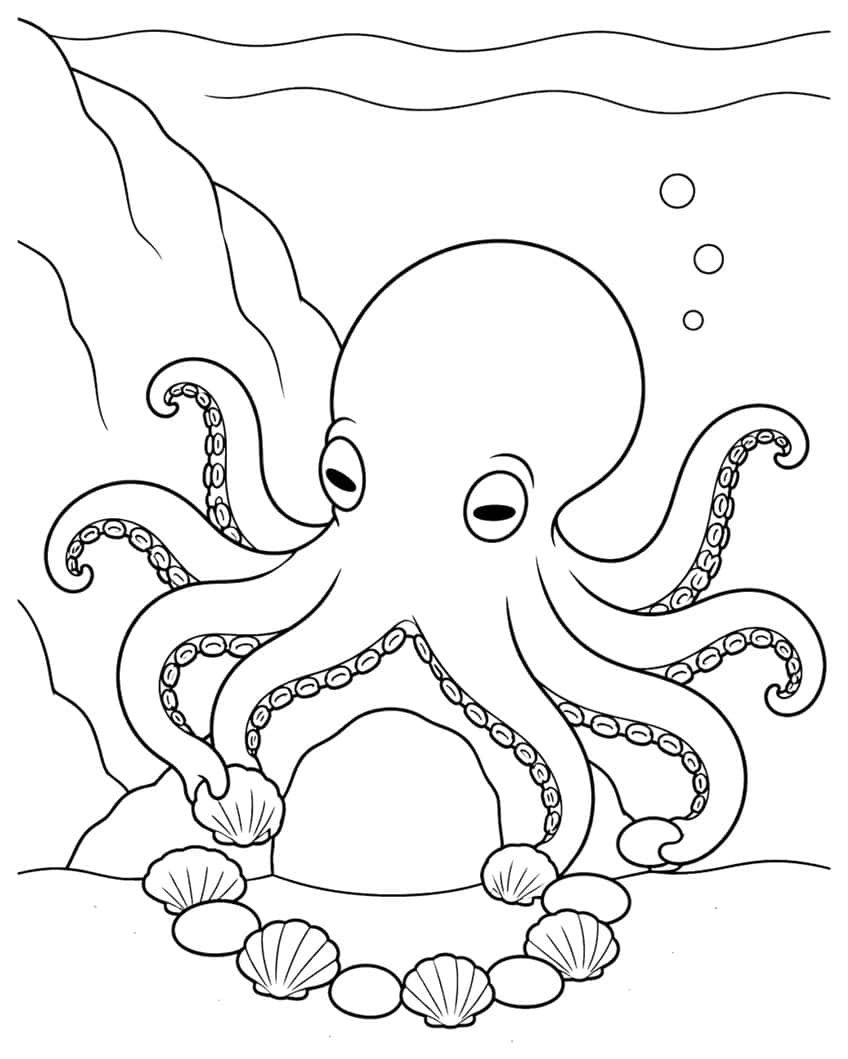 Octopus placing scallop shells and pebbles in a circle on the seabed by a rock den, with bubbles above