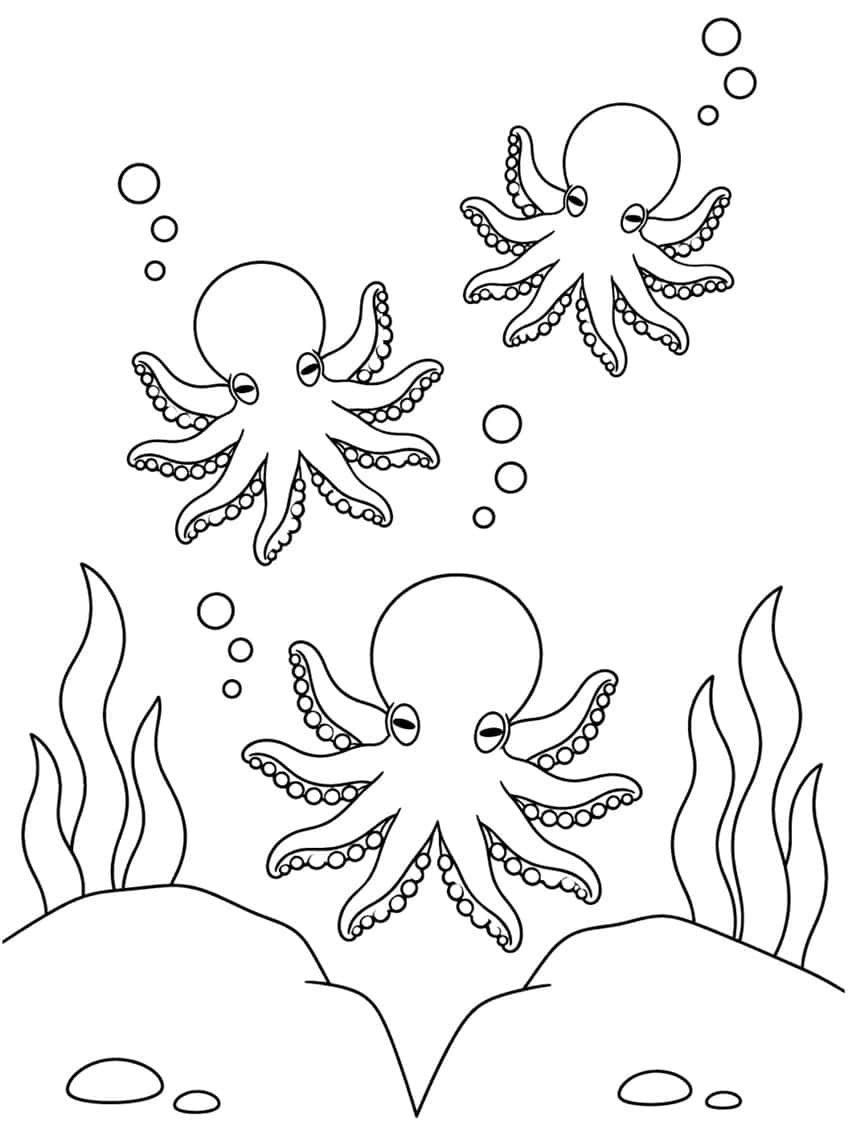 Three baby octopuses with bubbles, seaweed, rocks and pebbles on the seabed