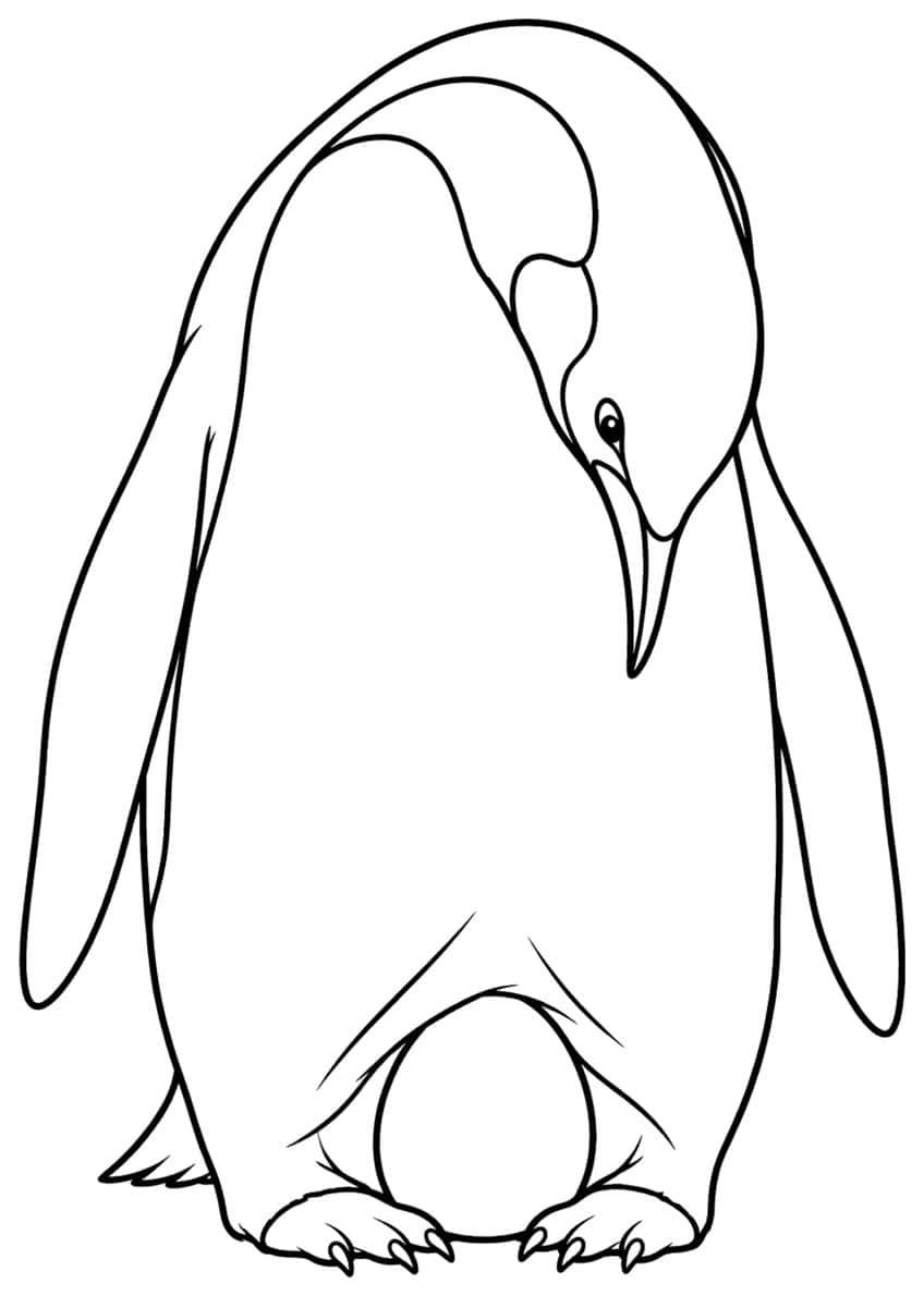 Penguin looking down at an egg resting on its feet