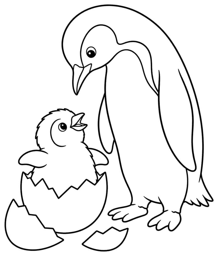 Adult penguin looking down at a chick hatching from a cracked egg