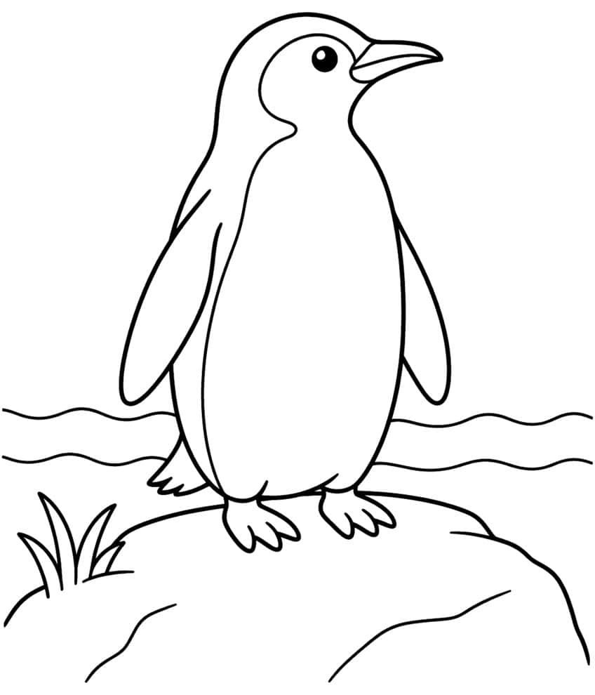 Penguin standing on a rock beside wavy ocean lines and grass