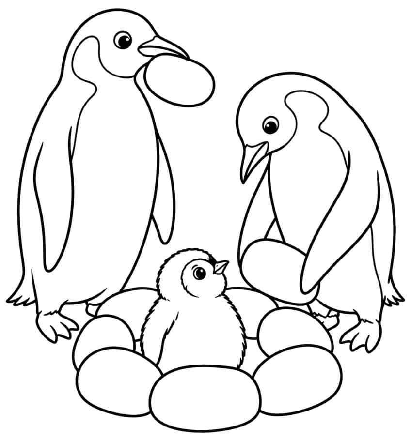 Two adult penguins, a fluffy chick, and a nest of oval pebbles