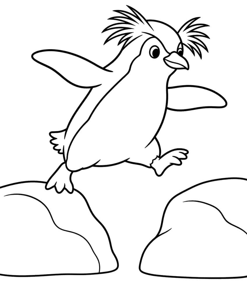 Rockhopper penguin with spiky crest jumping between two rocks