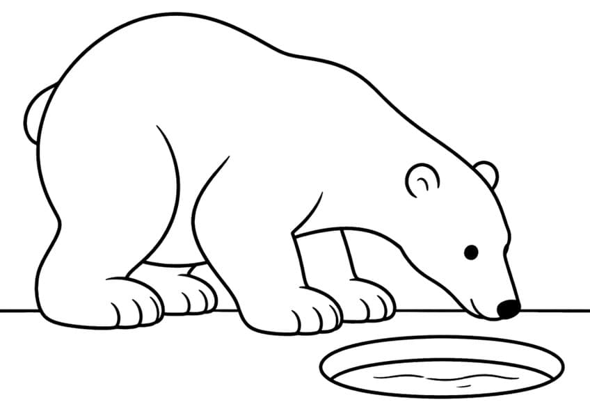 Polar bear bending its head down toward an oval water hole in the ice