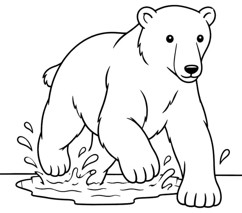 Polar bear walking through a splashing puddle with water droplets and a ground line