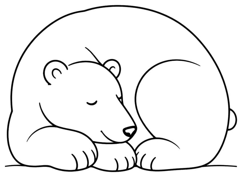 Sleeping polar bear curled into a round shape with head on paws, closed eye, black nose and two ears