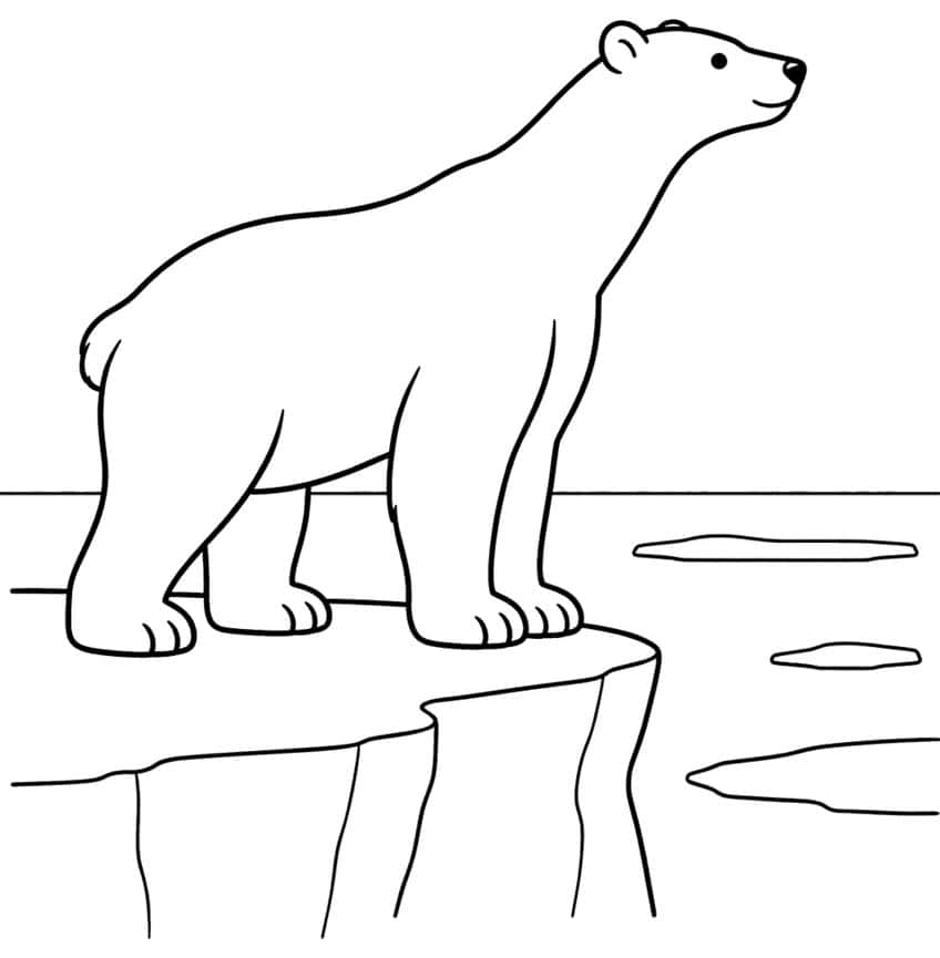 Polar bear standing on an ice ledge, looking up, with small ice patches and a horizon line