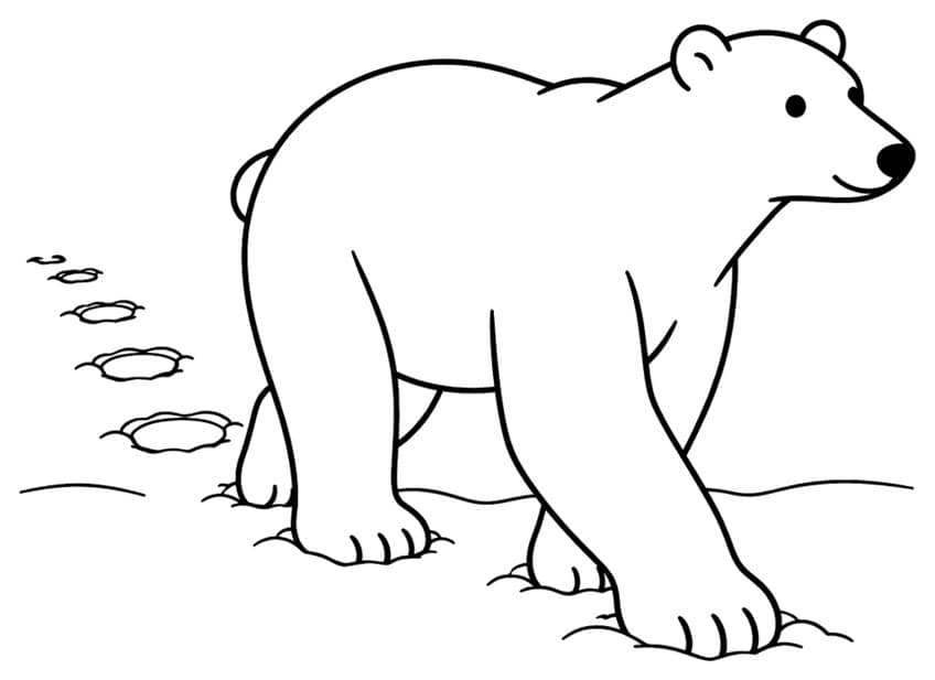 Polar bear walking right in snow with a trail of oval paw prints behind it