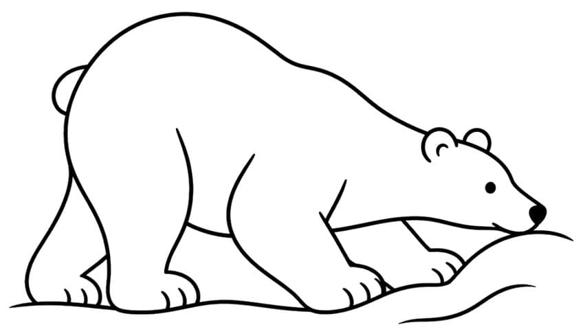 Polar bear crouching low with its nose against a snow drift, with wavy ground lines