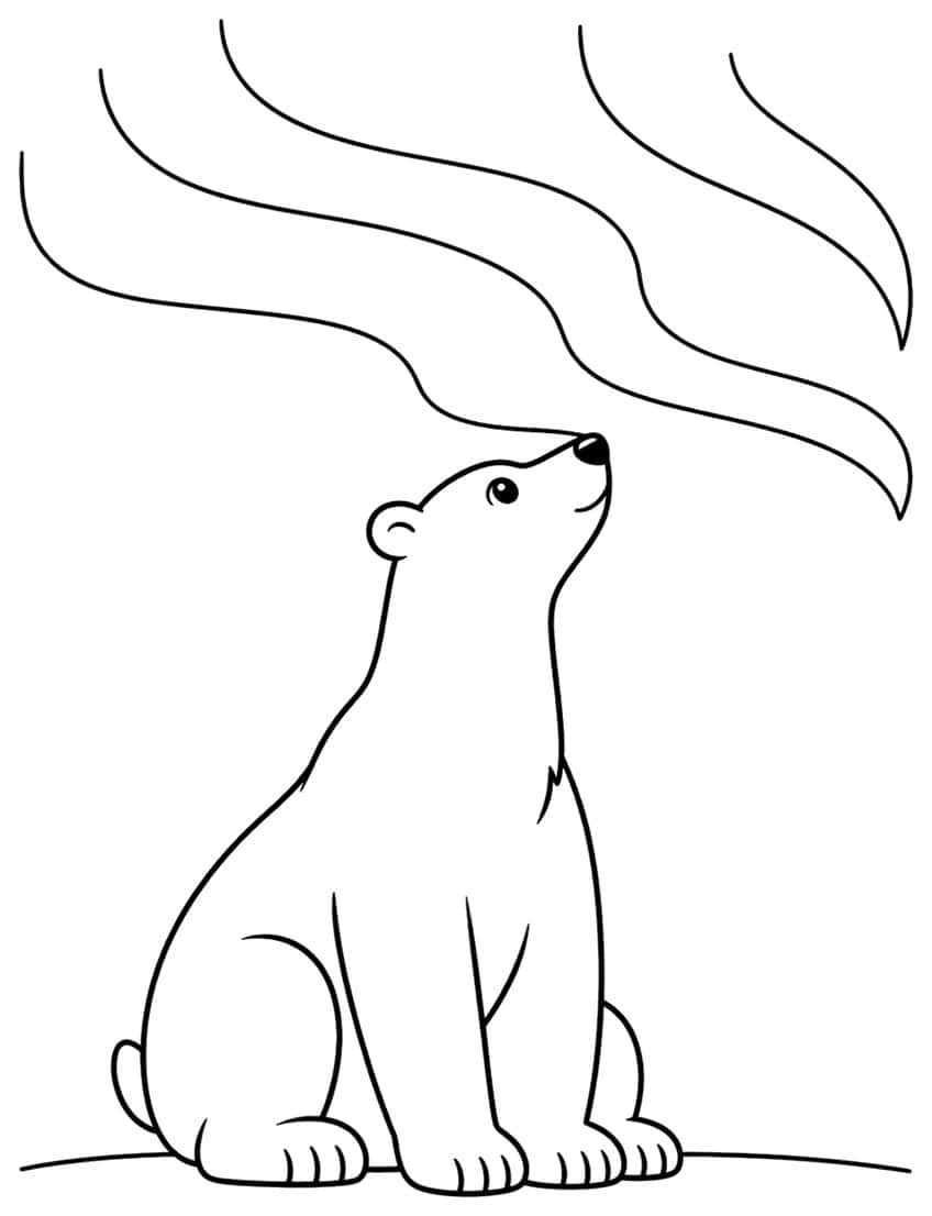Sitting polar bear looking up at wavy northern lights ribbons above it