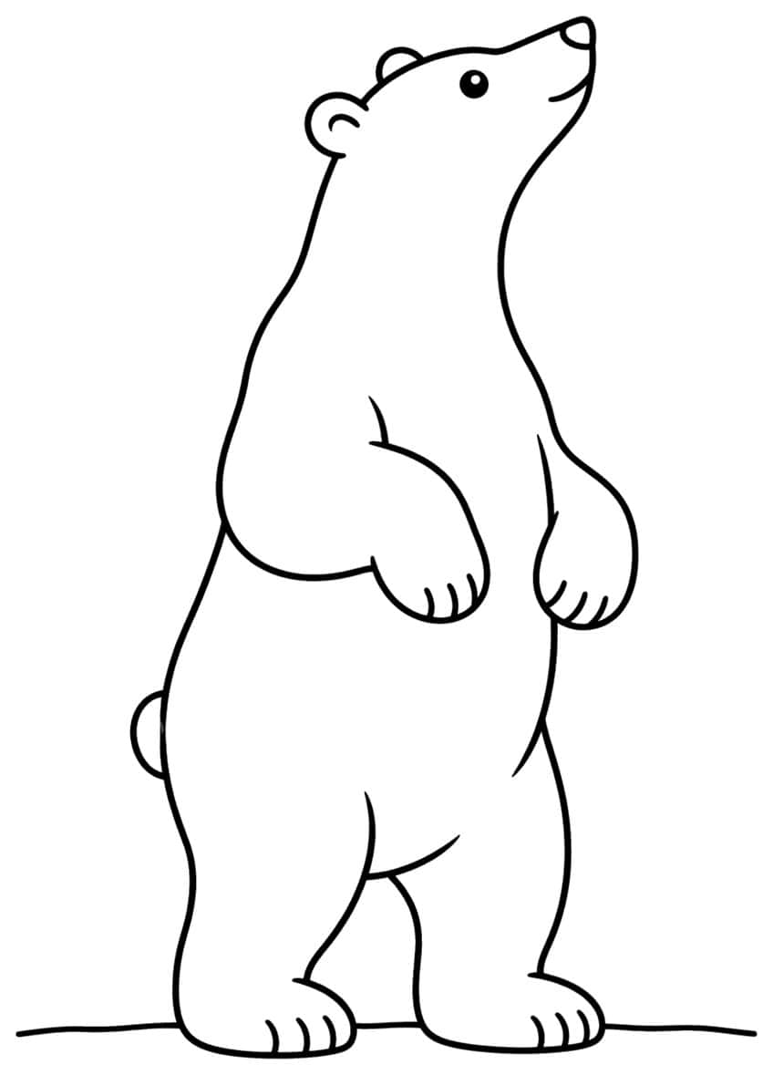Polar bear standing upright on hind legs, head tilted up, paws at chest, on a simple ground line