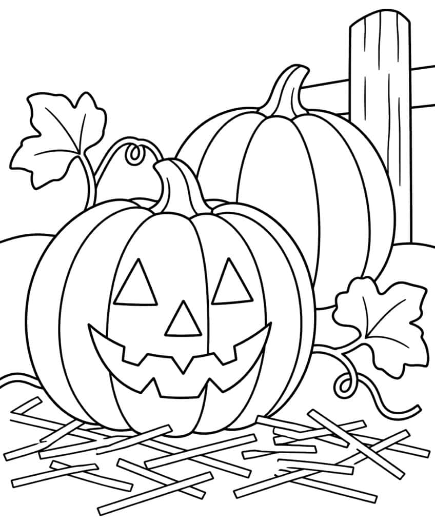 Carved jack-o'-lantern with triangle eyes on straw, a second pumpkin, fence post, and two vine leaves