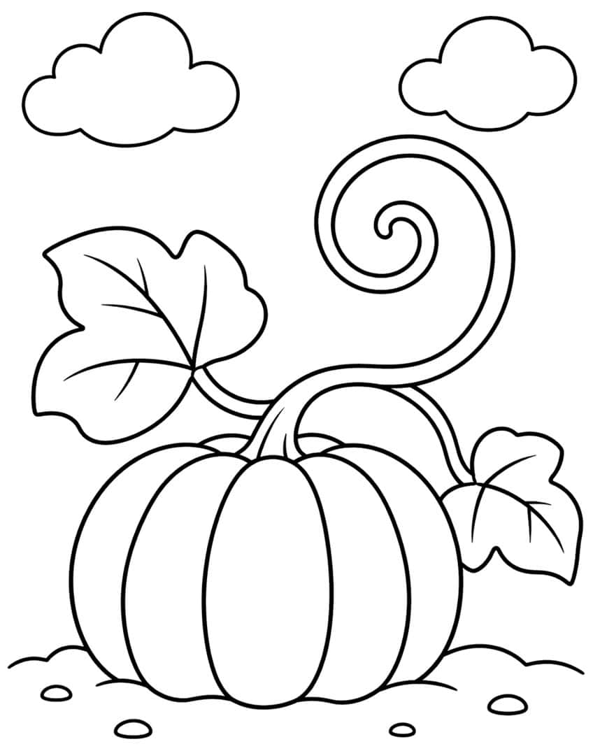Ridged pumpkin with a curling spiral vine, two leaves, two clouds and pebbles