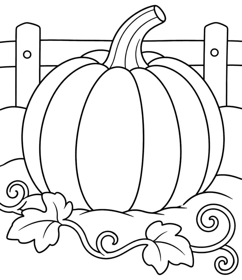 Large ridged pumpkin with curved stem, wooden fence, two leaves and spiral vines