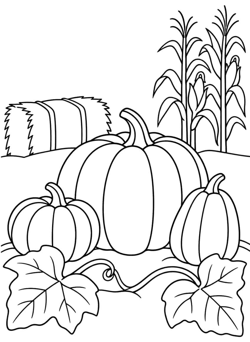 Three ridged pumpkins with two leaves and a vine, a hay bale and two cornstalks behind
