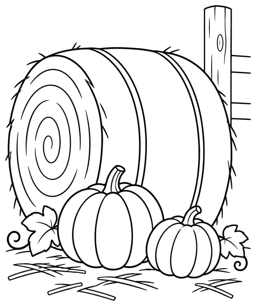 Round hay bale with spiral end, two ridged pumpkins, fence post, vine leaves and scattered straw